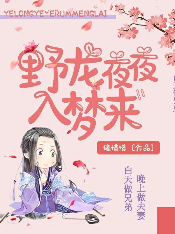野龙夜夜入梦来封面