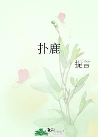 扑鹿封面