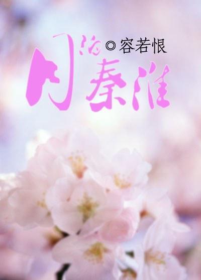 月泊秦淮封面