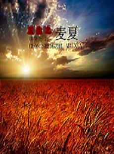 重生之麦夏封面