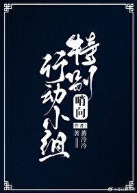 哨向特别行动小组封面