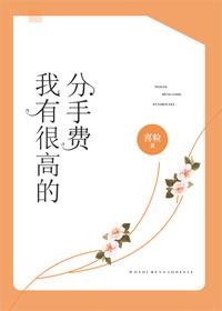 我有很高的分手费封面