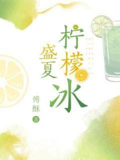 盛夏柠檬冰封面