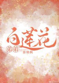 白莲花弟弟封面