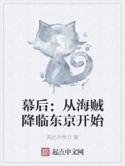 幕后：从海贼降临东京开始封面