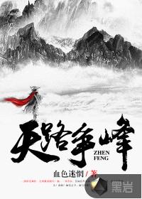 天路争锋封面