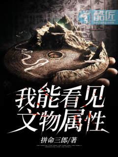 我能看见文物属性封面
