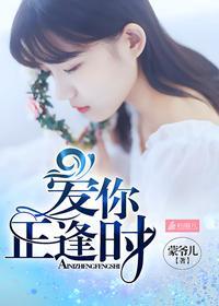 爱你正逢时封面
