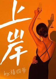 上岸（NPH）封面