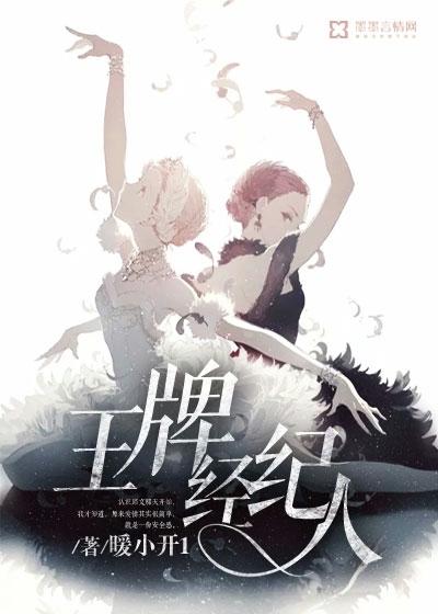 王牌经纪人封面