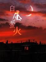 白昼萤火封面