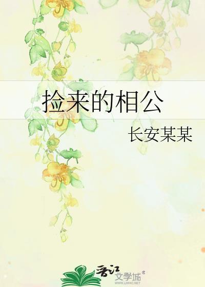 捡来的相公封面
