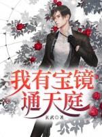 我有宝镜通天庭封面