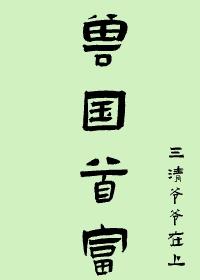 残疾猴是兽国首富封面