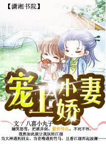 宠上小娇妻封面