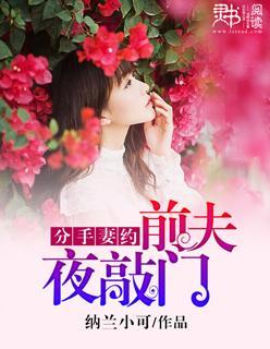 分手妻约：前夫夜敲门！封面