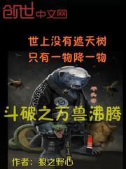 斗破之万女为奴云韵封面