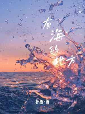 有海的地方封面