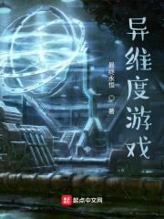 异维度游戏封面