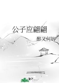 公子应翩翩封面