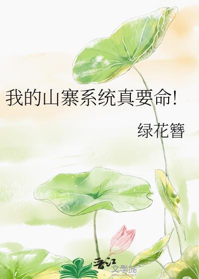 我的山寨系统真要命!封面