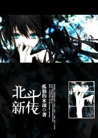 北斗新传封面