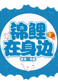 锦鲤在身边封面