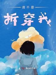 请不要拆穿我封面