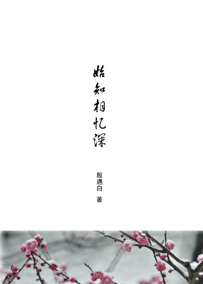 始知相忆深（暗恋成真）封面