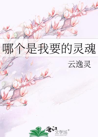 哪个是我要的灵魂封面