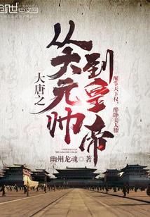 大唐之从大元帅到皇帝封面