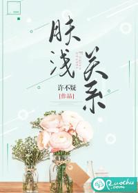 肤浅关系封面