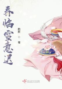 春临雪意迟封面