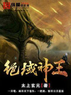 绝域神王封面