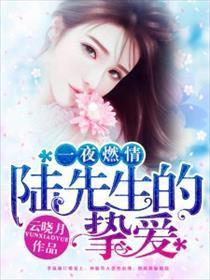 一夜燃情，陆先生的挚爱封面