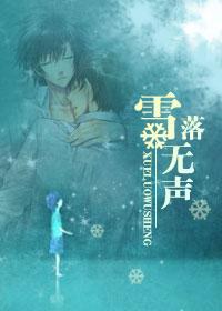 雪落无声封面