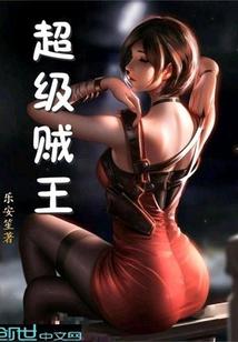 超级贼王封面