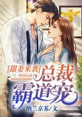 简溪沐泽希封面