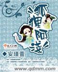 狐貍阿浅封面