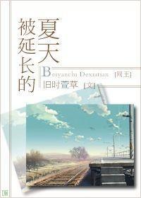 被延长的夏天封面