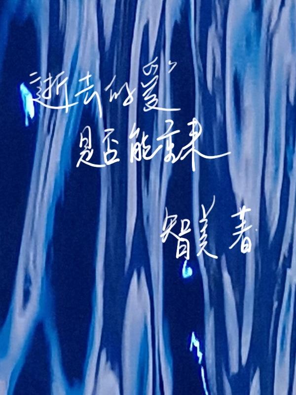 “逝去的爱”是否能重来封面