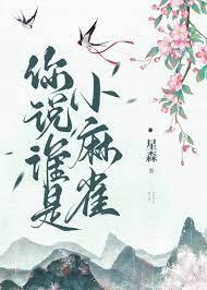 你说谁是小麻雀封面