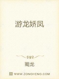 游龙嬉春封面