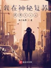 我在神秘复苏成为bug封面