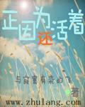 正因为还活着封面