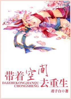 带着空间去重生封面