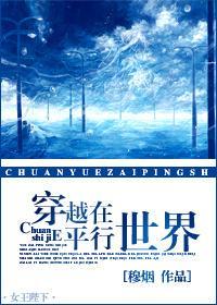 穿越在平行世界封面