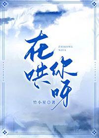 在哄你呀封面