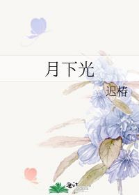 月下光封面