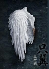 只翼ABO封面